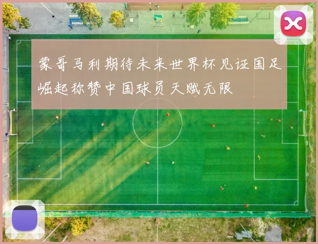 蒙哥马利期待未来世界杯见证国足崛起称赞中国球员天赋无限